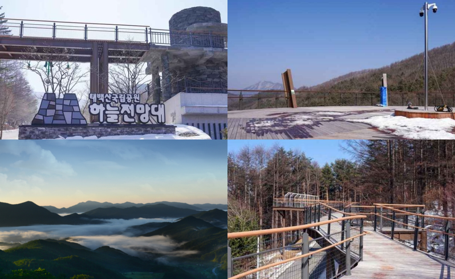 태백산 산행코스