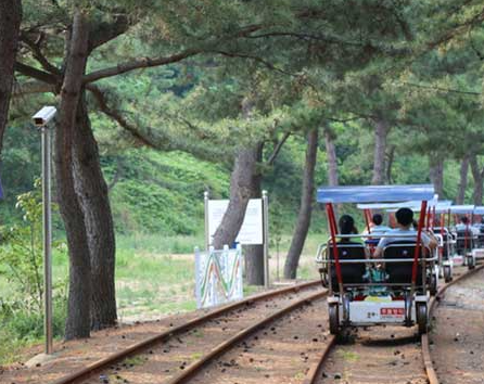 동해 가볼만한곳 베스트10