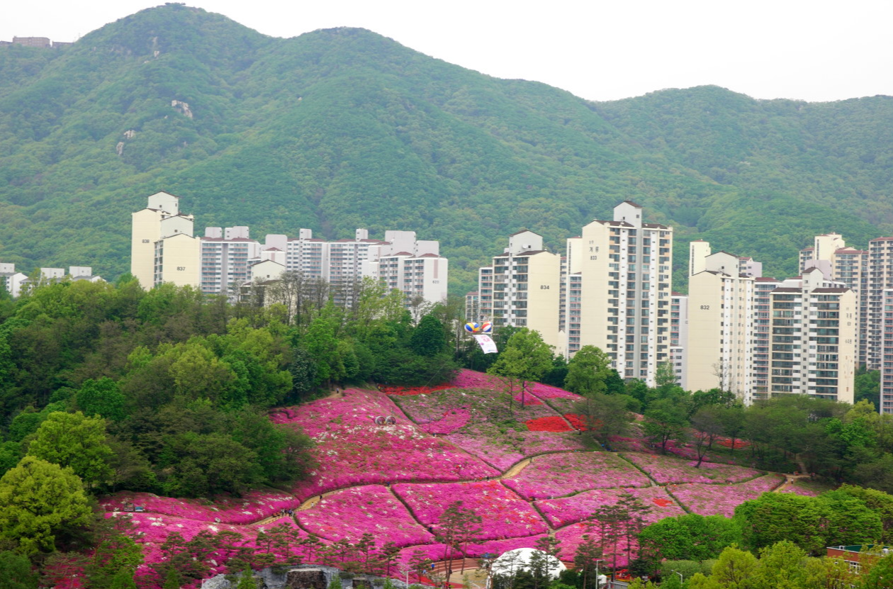 철쭉동산