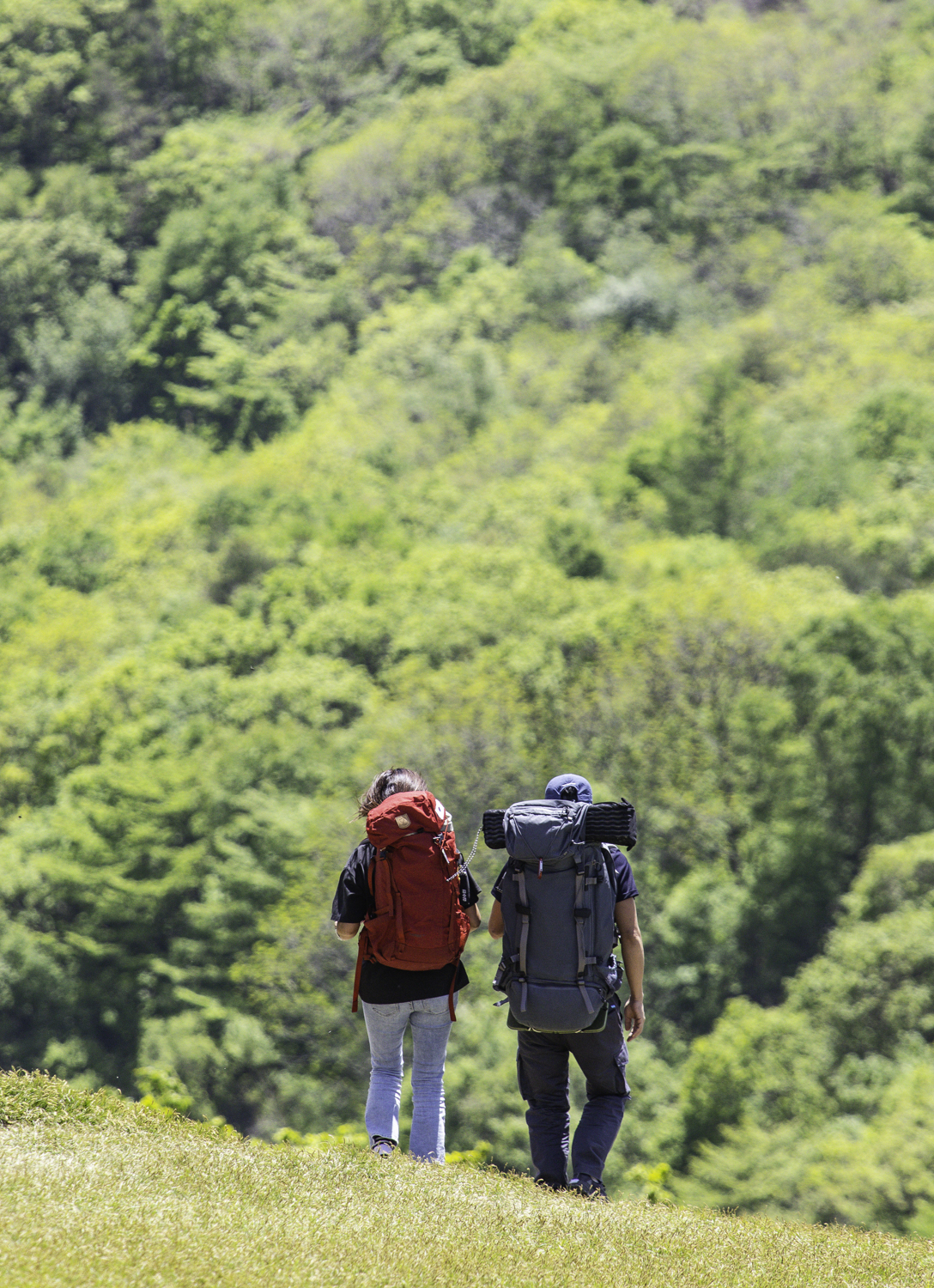 tnf100korea
tnf100gangwon
노스페이스 트레일러닝대회
선자령 트레일러닝