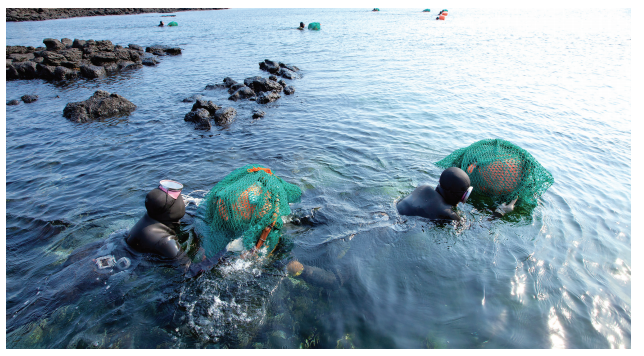 어업종사자-하는일-업무환경-되는법-학과-전망