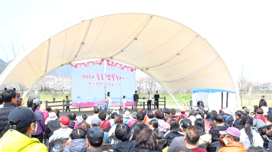 물금벚꽃축제