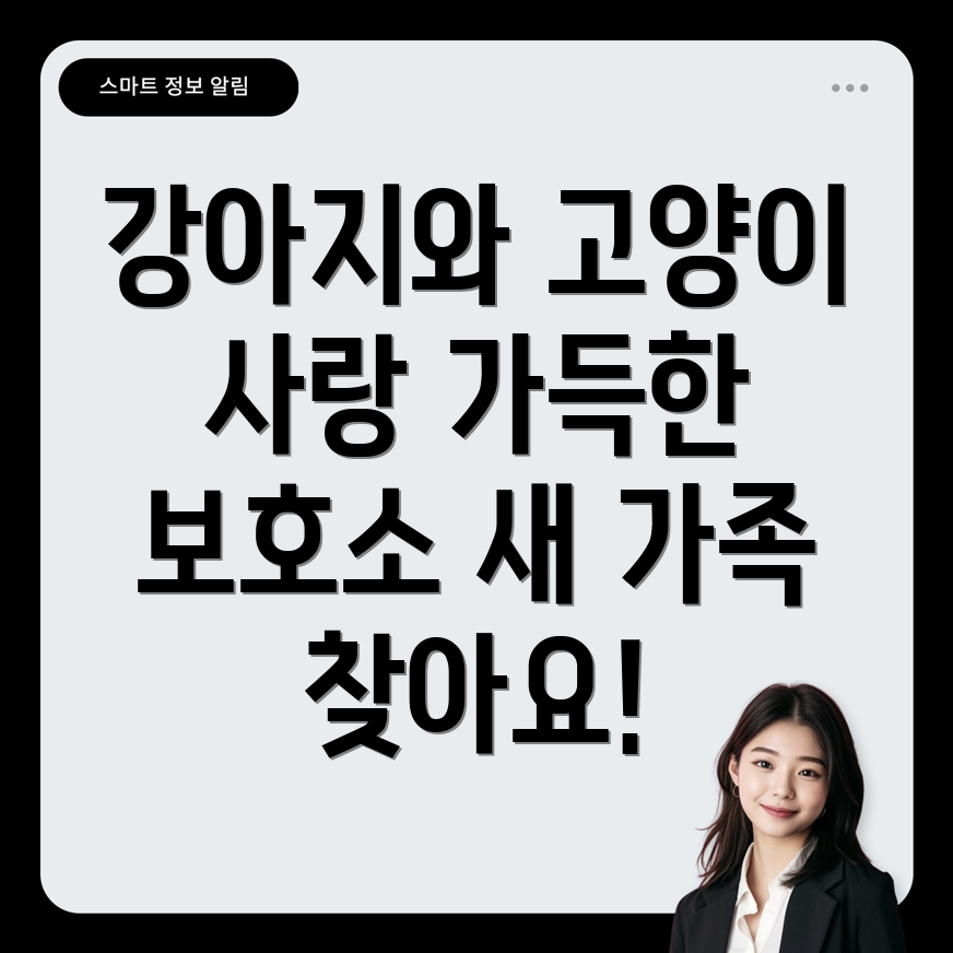 강릉 강아지 고양이 보호소
