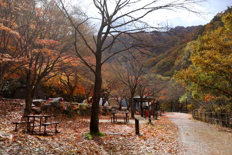 남원시 뱀사골 힐링야영장 소개
