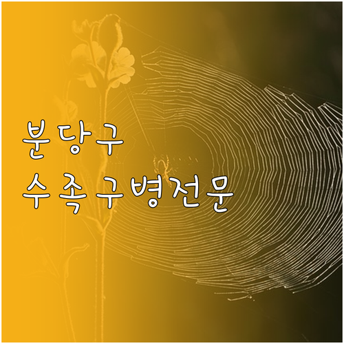 분당구 근처 수족구병 진료 가능한 병..