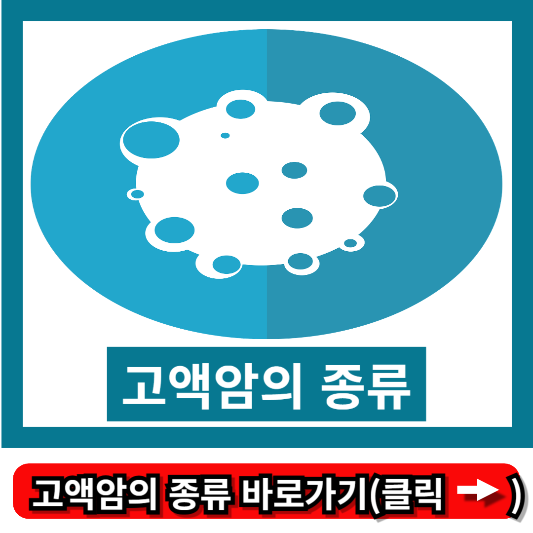 고액암의 종류