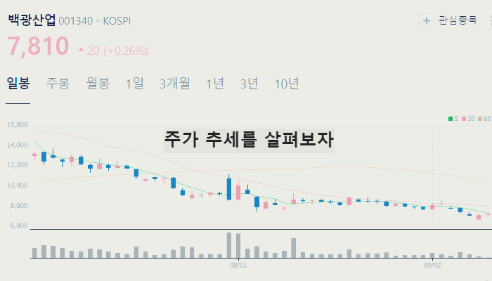 전구체 관련주 대장주 테마주 수혜주 TOP6