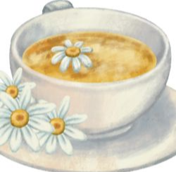 독소빼기 차마시기