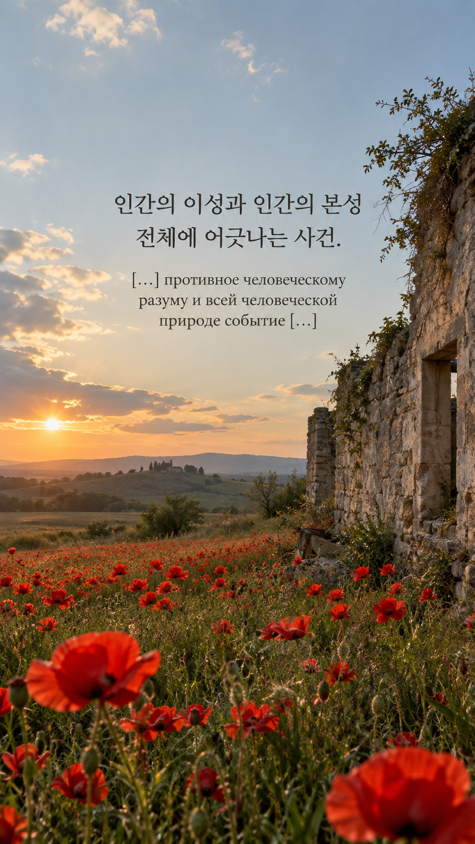 전쟁이 거스르는 것 — 돌담 옆에 피어난 붉은 양귀비