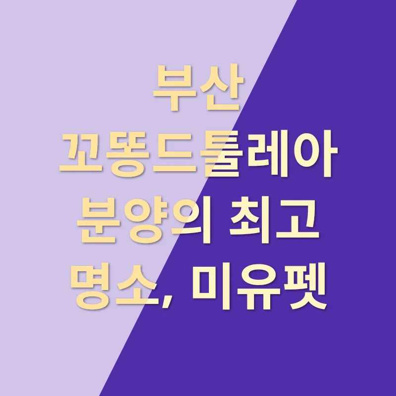 부산도꼬똥드툴레아분양_2