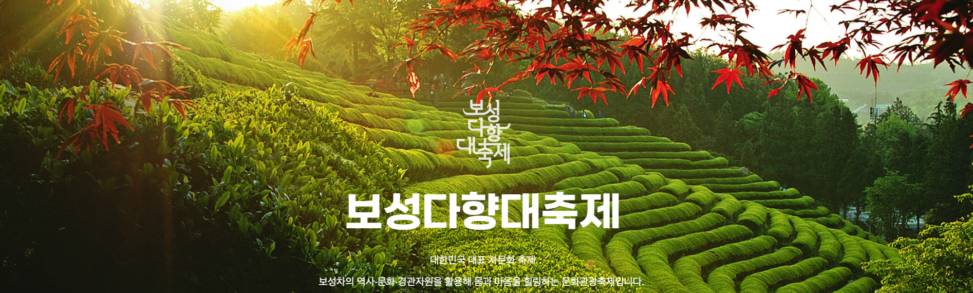 2025 보성 다향대축제 라인업, 2025 보성다향대축제 가수, 2025 보성다향대축제 기본정보