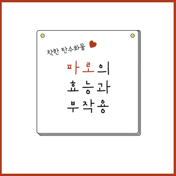파로-효능