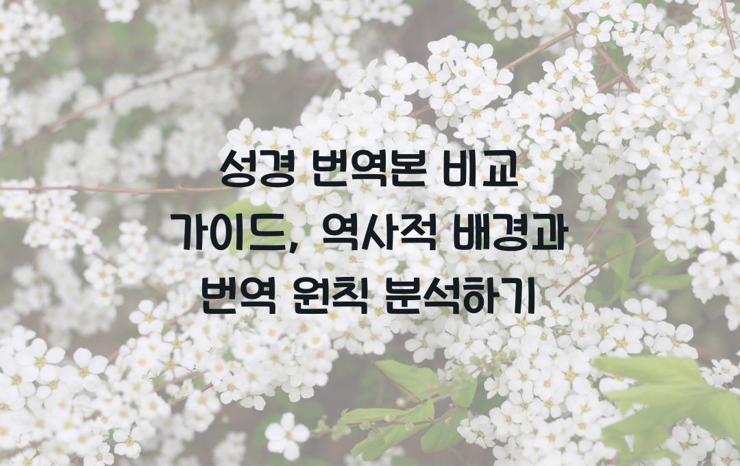 성경 번역본 비교 가이드: 역사적 배경과 번역 원칙