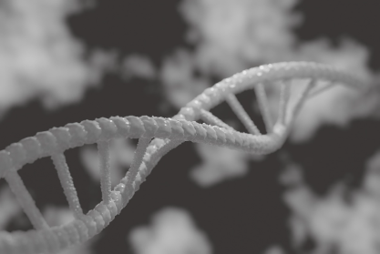 DNA유전적 연구