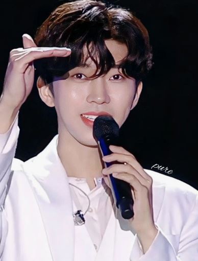 임영웅 콘서트