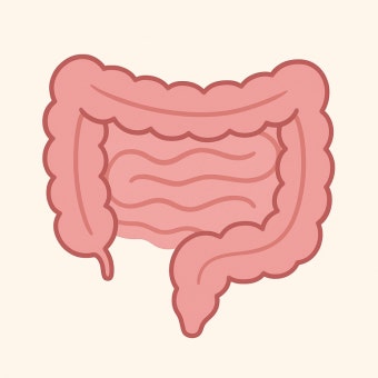 장