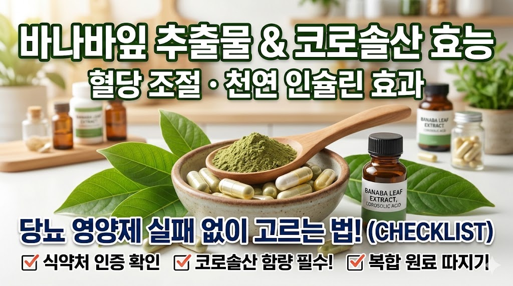 코로솔산 효능