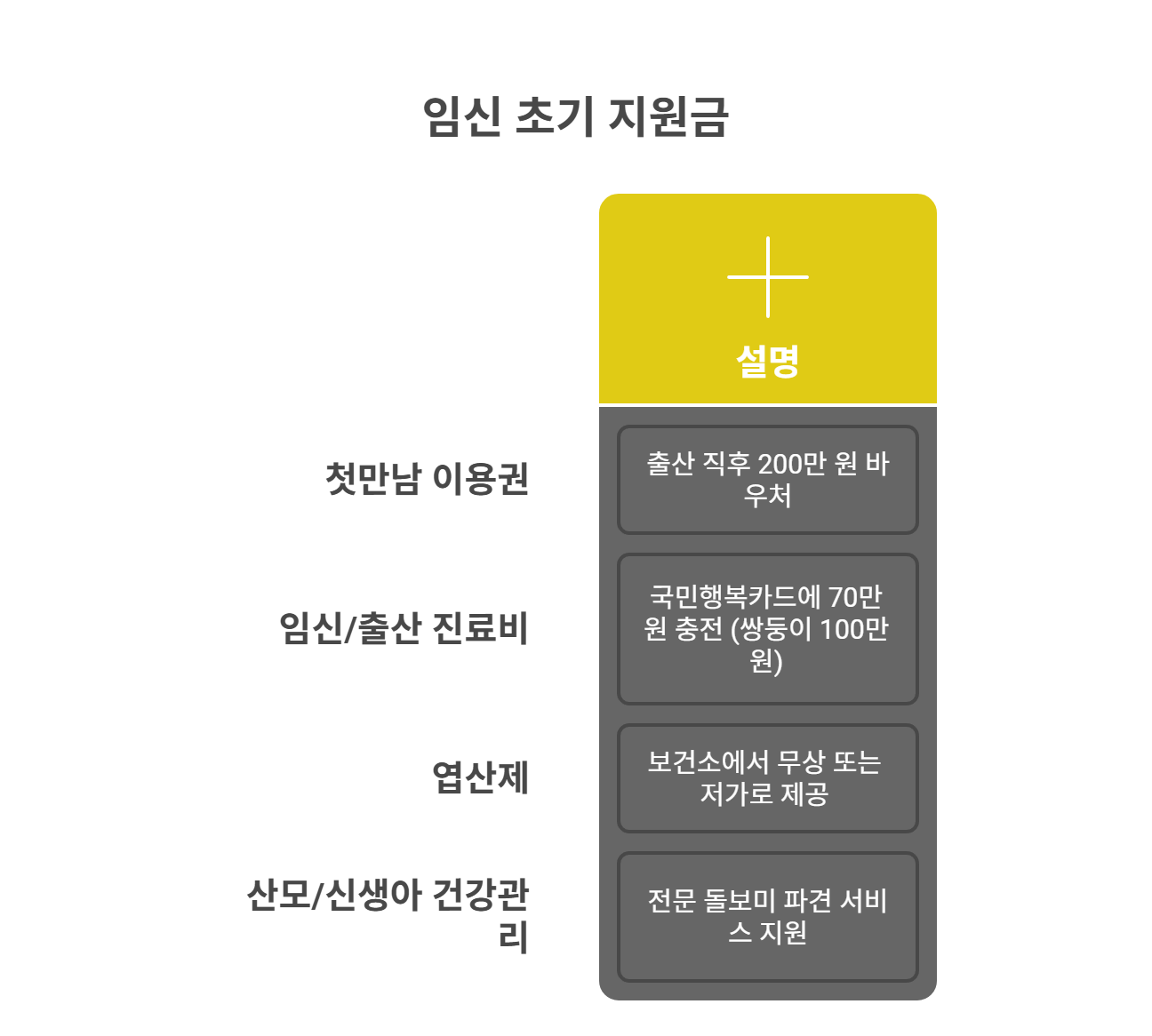 임신 초기 지원금과 정부 서비스