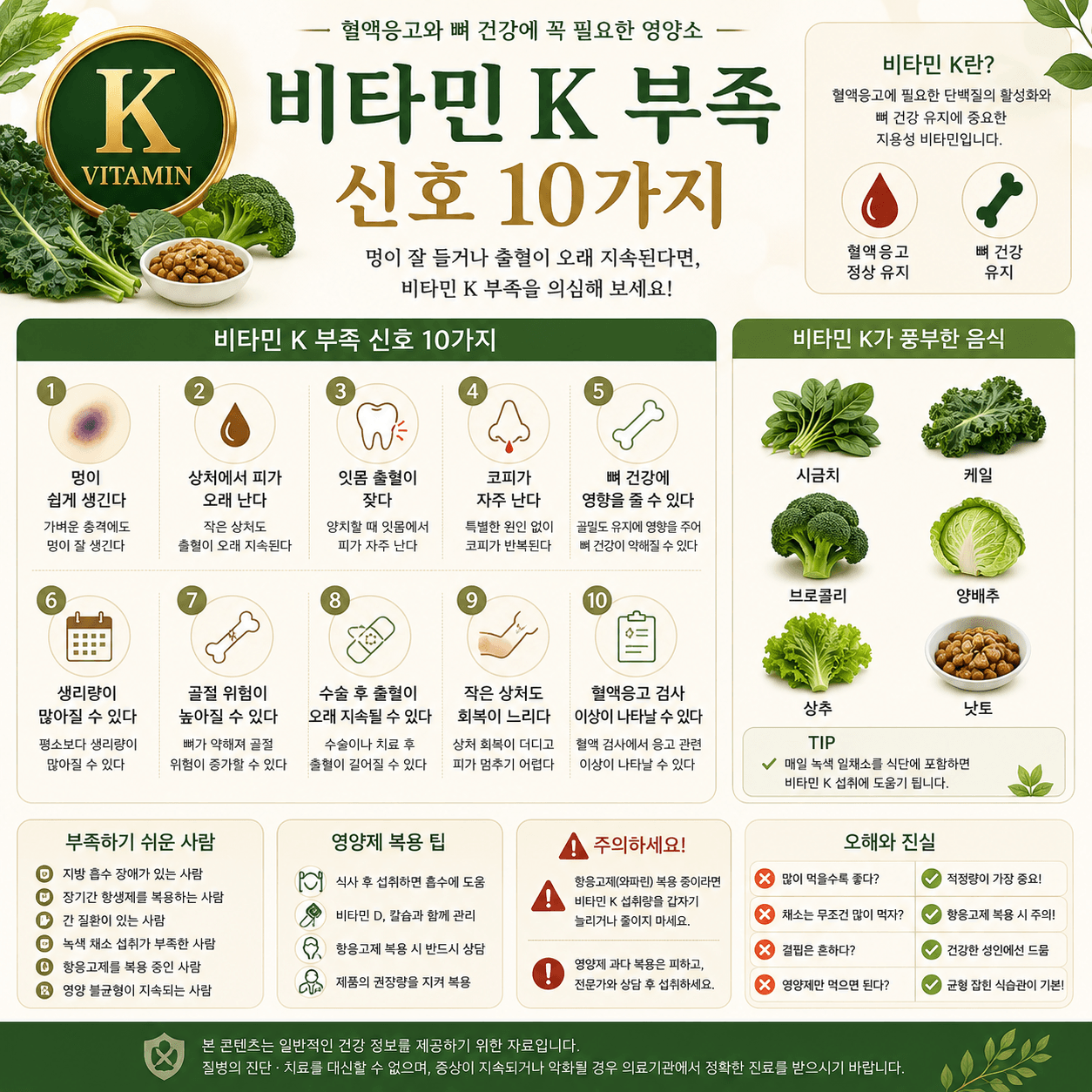 비타민 K 부족 증상과 비타민 K가 풍부한 음식, 관리 방법을 보기 쉽게 정리한 인포그래픽