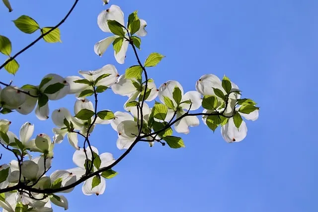 계절별 인사말 예시 모음 영어_5