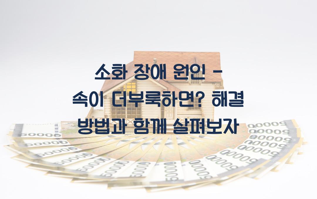 소화 장애 원인 - 속이 더부룩하다면? 원인과 해결 방법!