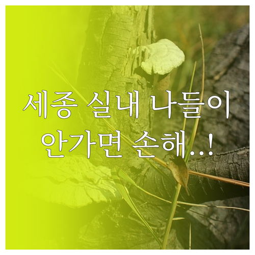 세종시 실내 나들이 추천 국립세종수목..