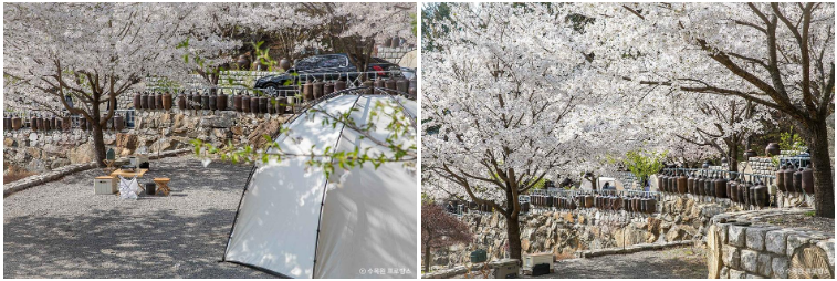 경기도 포천 수목원 프로방스