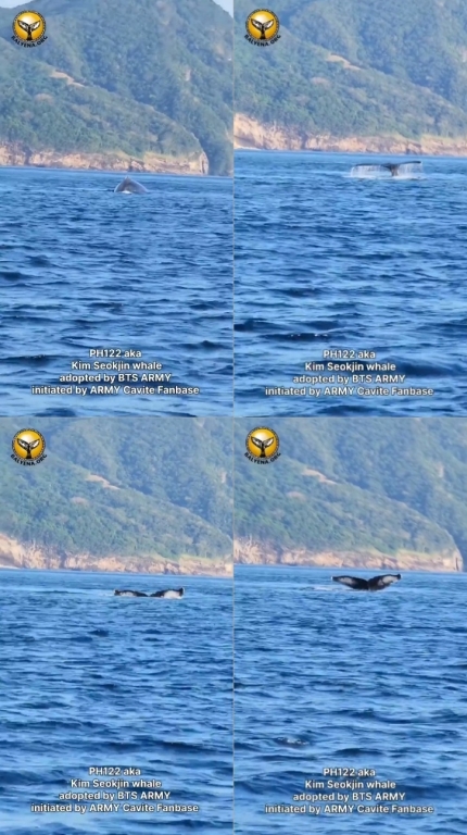 김석진 고래 발견 , 방탄소년단 고래
