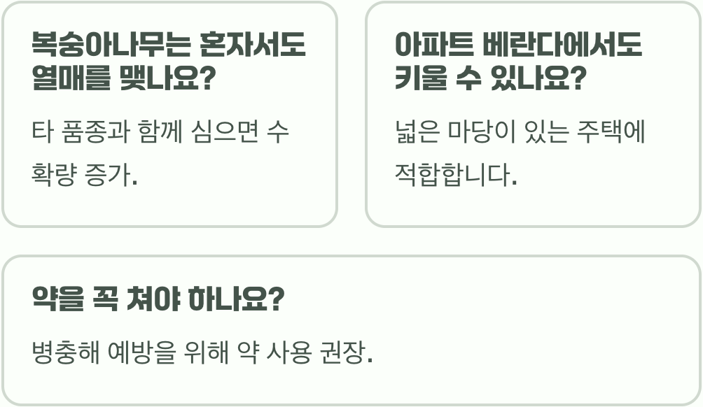 복숭아나무 키우기 A to Z (묘목 심기부터 가지치기, 수확까지)