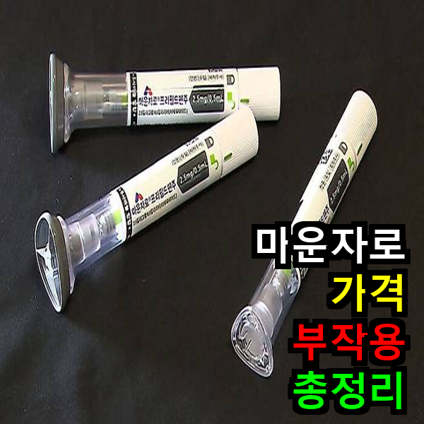 마운자로 가격