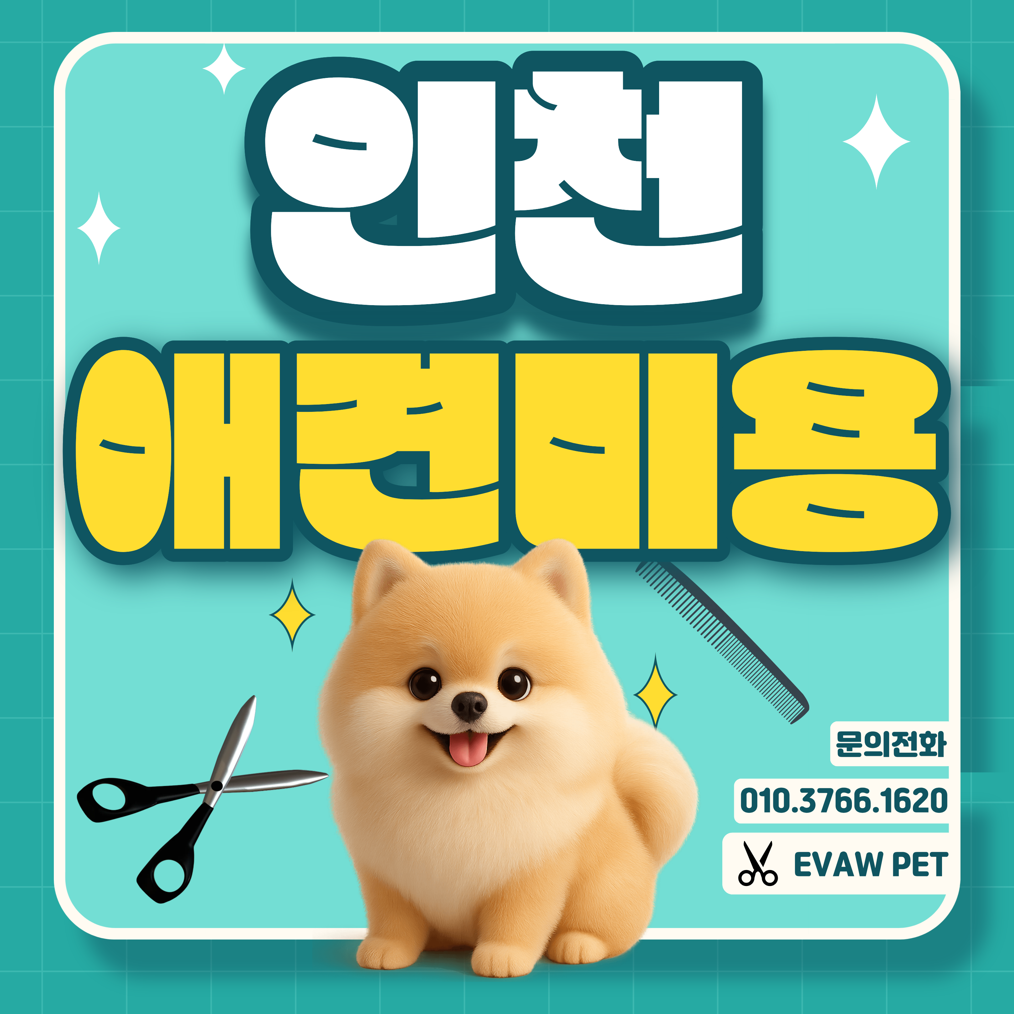 인천강아지미용학원