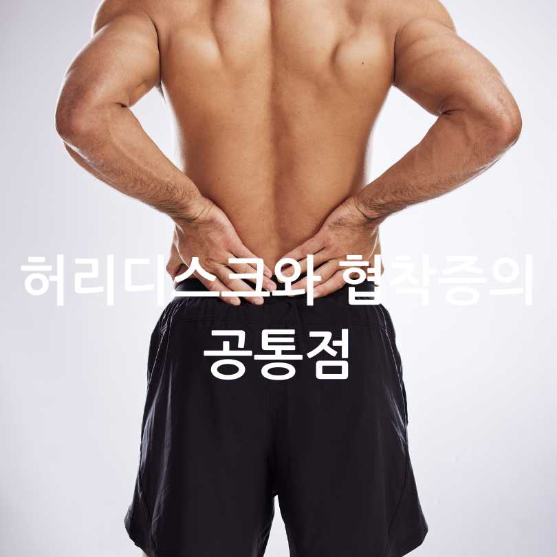 허리디스크와 허리 협착증의 차이점