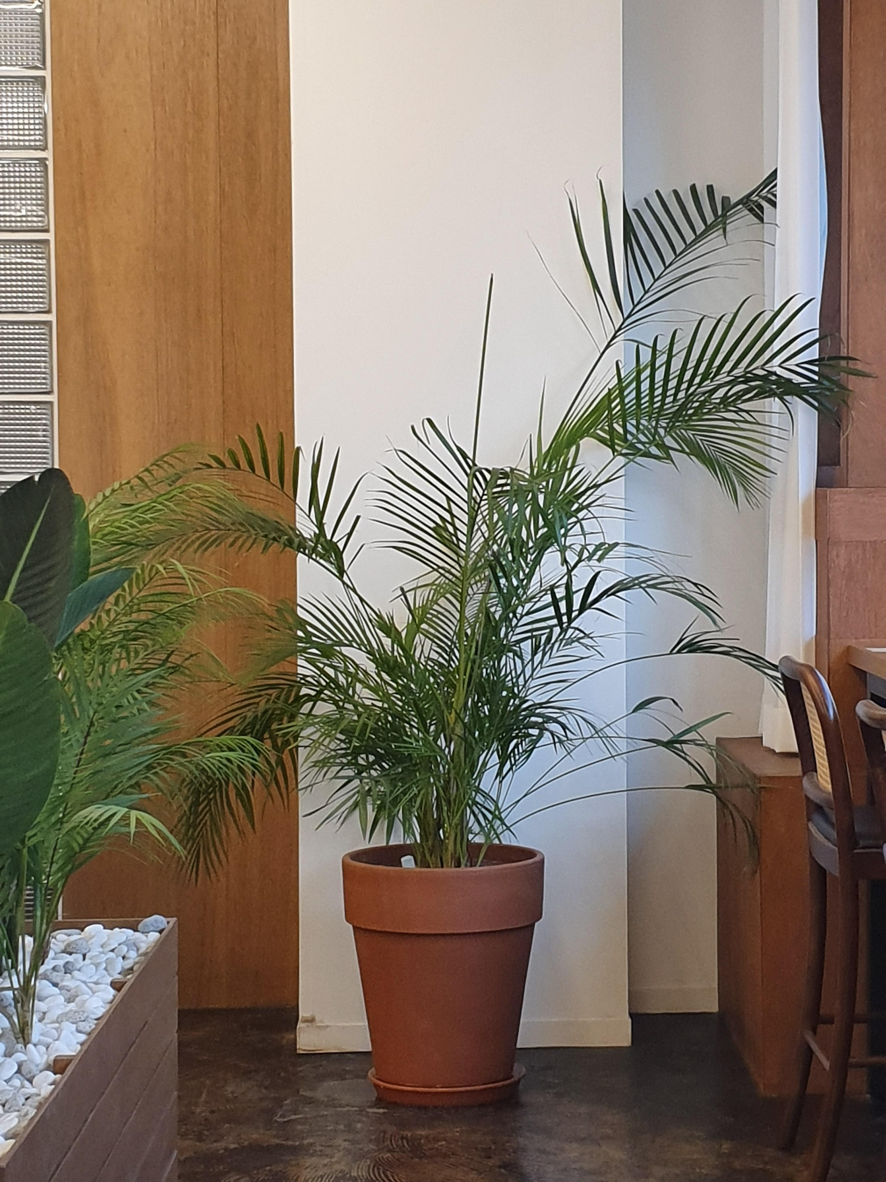 캐치 스터디카페