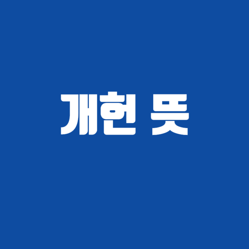 개헌 뜻