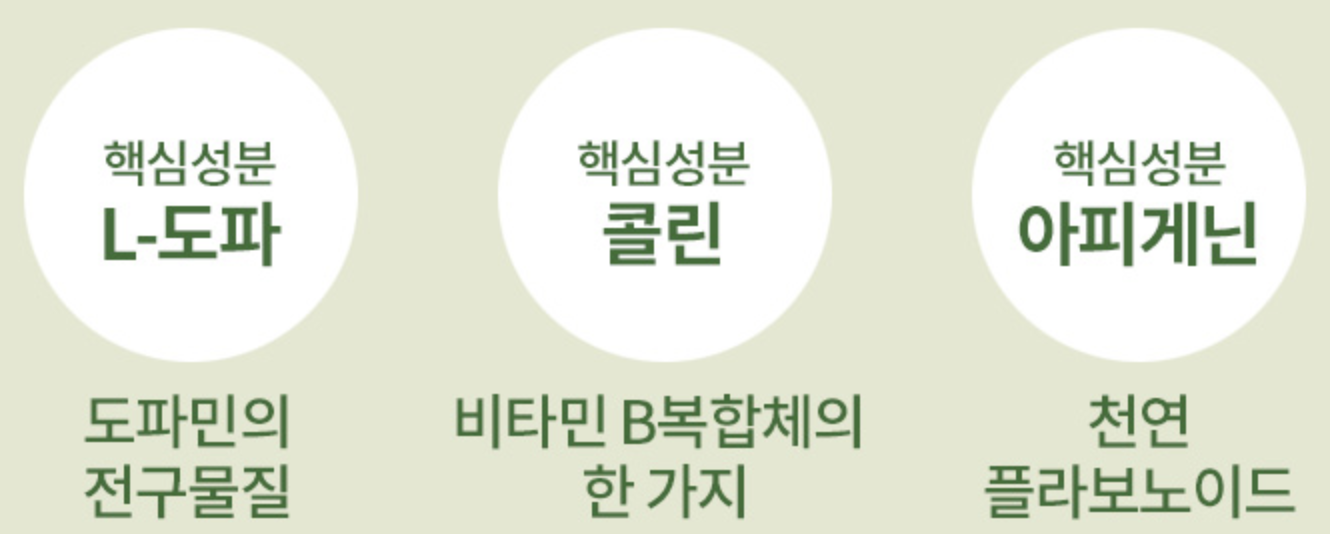 자이언트-파바빈-효능