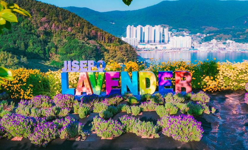 거제 지세포진성 꽃동산: 바다와 꽃이 어우러진 명소