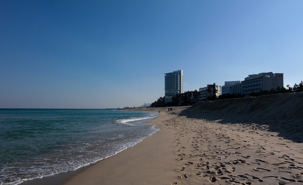 동해안 해수욕장 관련 사진
