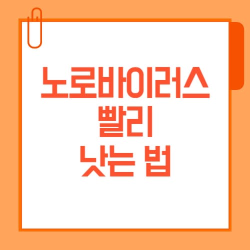 노로바이러스 빨리 낫는 법, 회복 도운 음식 5가지