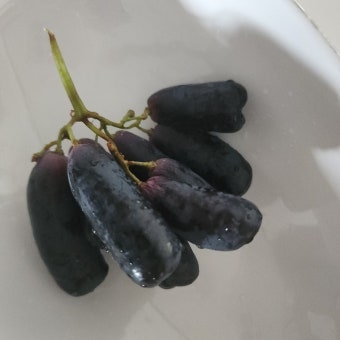 8월 제철음식 블랙사파이어