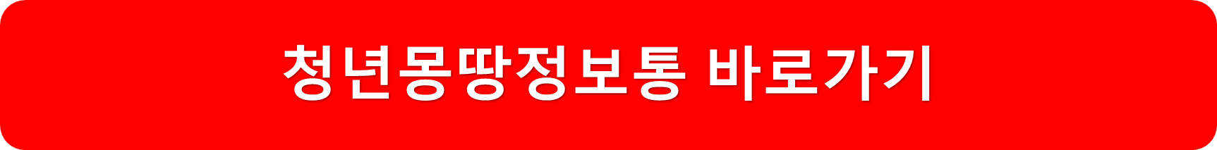 청년몽땅정보통