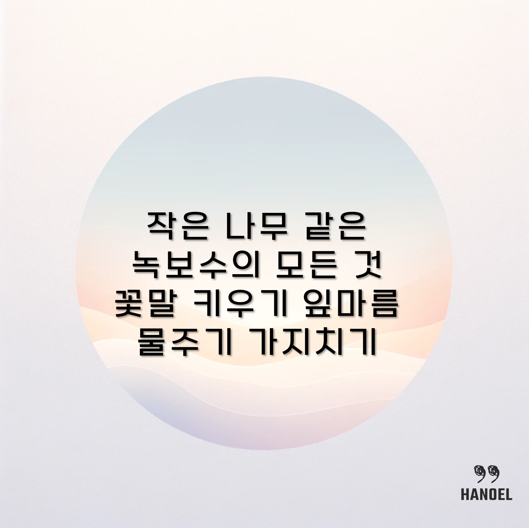 작은 나무 같은 녹보수의 모든 것 꽃말 키우기 잎마름 물주기 가지치기