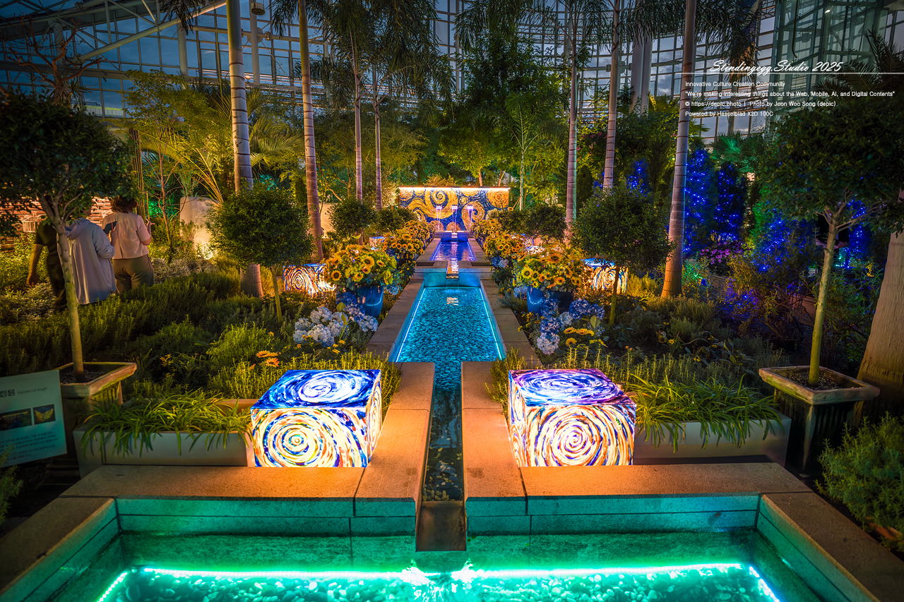 #세종 #세종수목원 #야간개장 #고흐