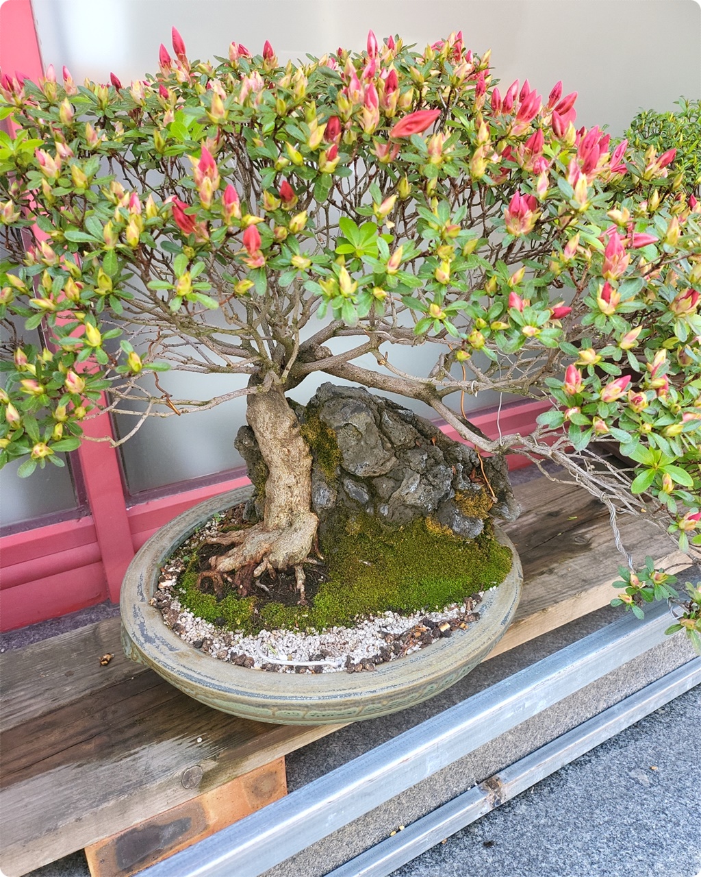 정말 예쁘게 꾸며 놓으셨어요~