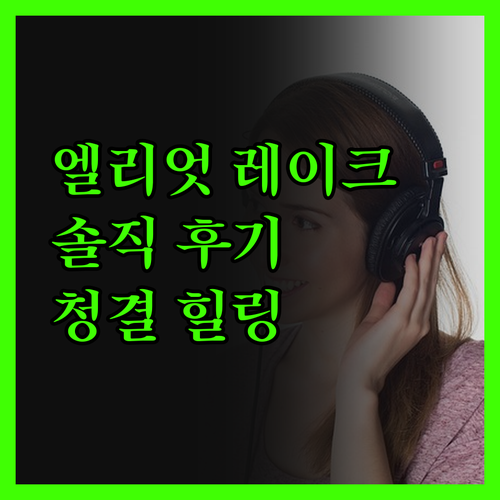 엘리엇 레이크 햄프턴 인, 솔직 후기