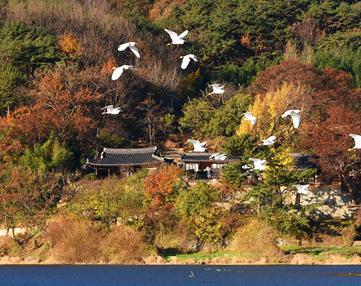 밀양 가볼만한곳