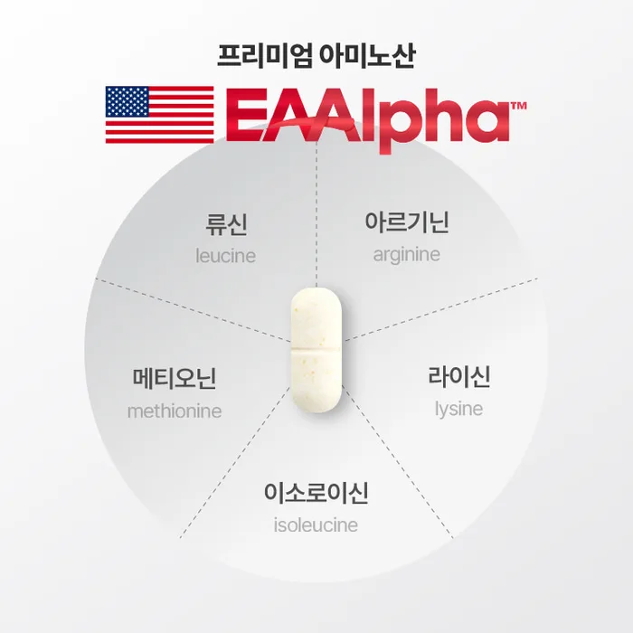 뉴티365 뉴티엠 내돈내산 후기 효능 성분 부작용 가격 복용법