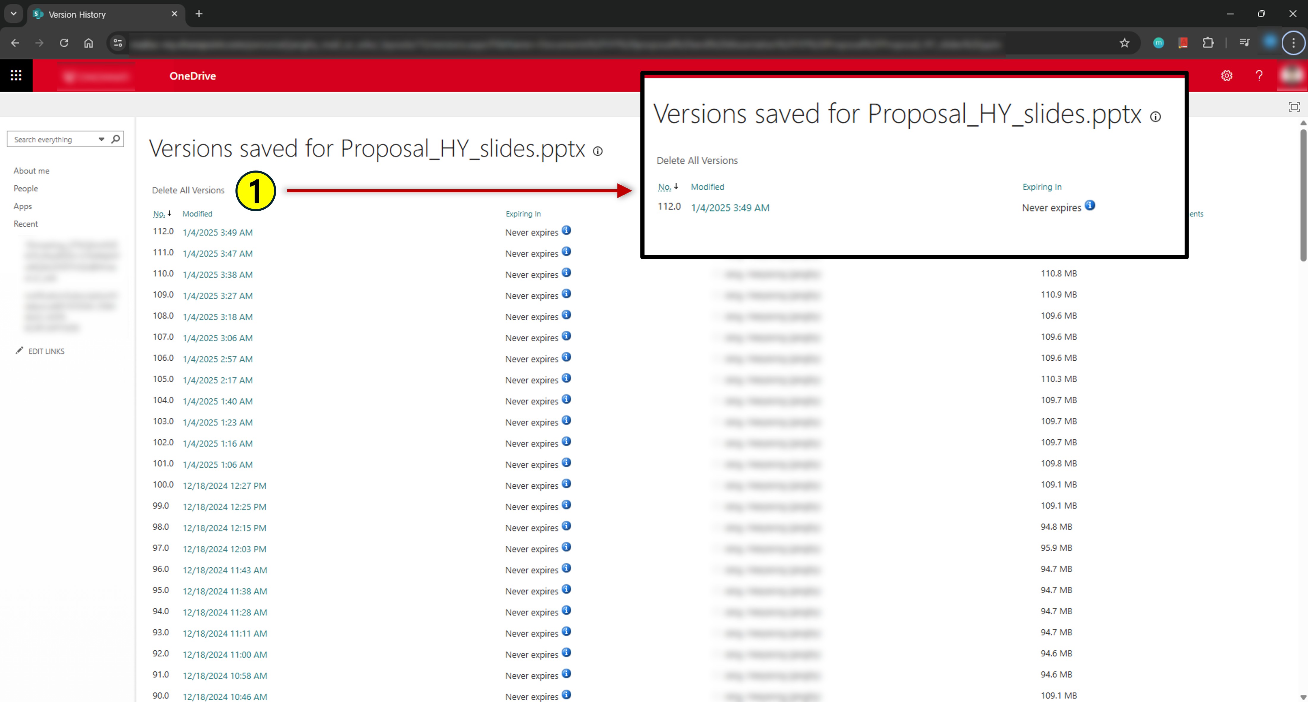 파일의 이전 버전을 삭제하는 방법. Delete all versions를 누르면 가장 최신 버전을 제외한 나머지가 삭제된 것을 알 수 있다.(작은 그림)
