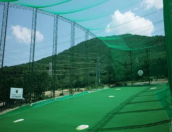 더 그레이스 골프