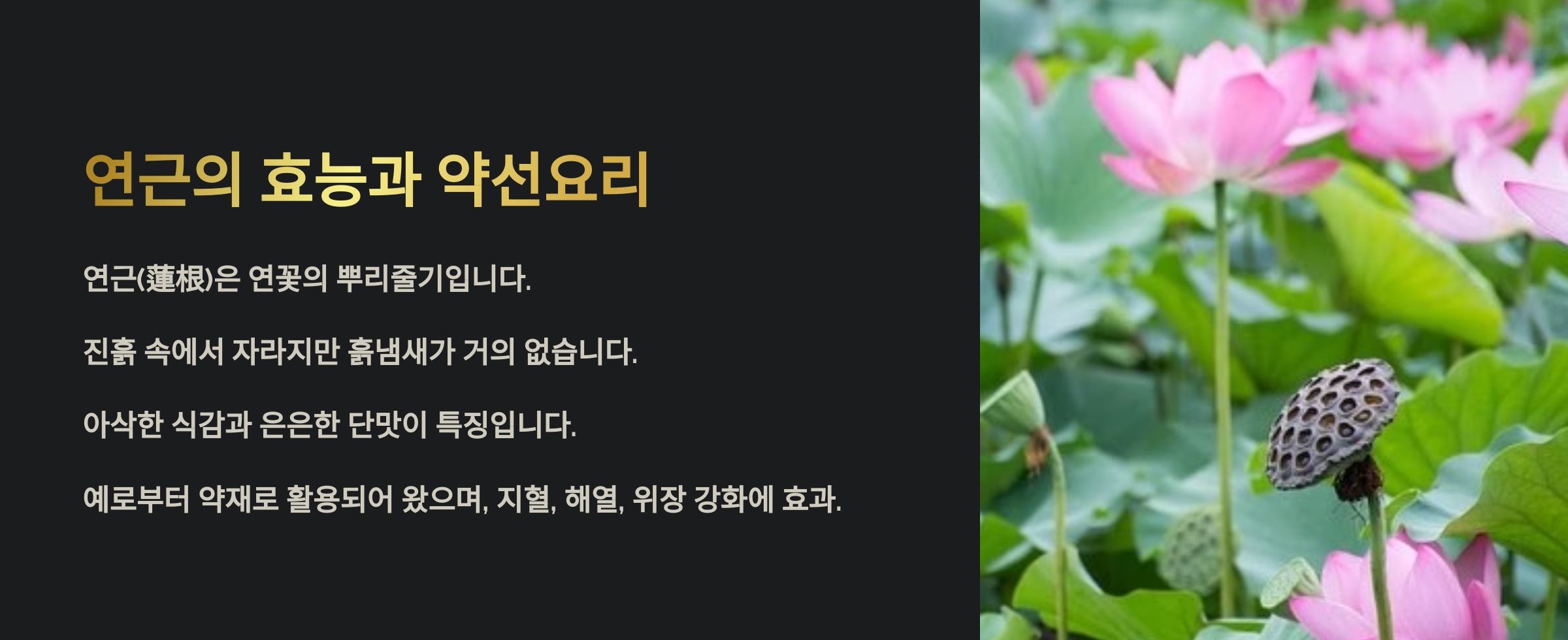 연근의 효능과 약선요리