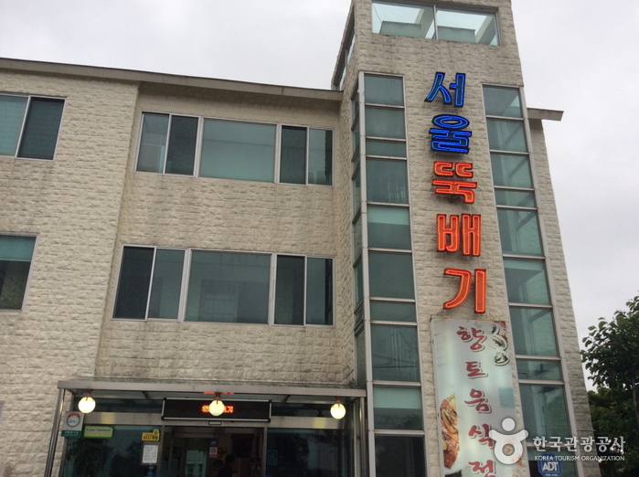 제주 비체올린 능소화축제